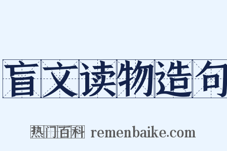 盲文读物造句是什么意思的图片